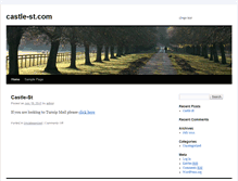 Tablet Screenshot of castle-st.com